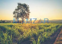 Farm for sale in Liwa - Abu Dhabi
