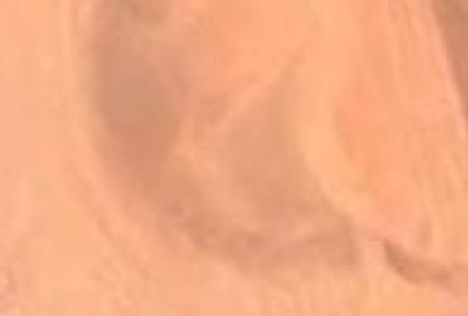 15825863 - صورة العقار 2