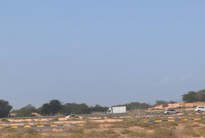 16025838 - Property Image 3