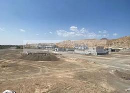 Land for sale in Masfoot 9 - Masfoot - Ajman