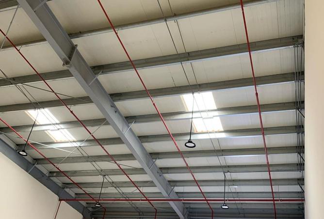 15517893 - Property Image 2