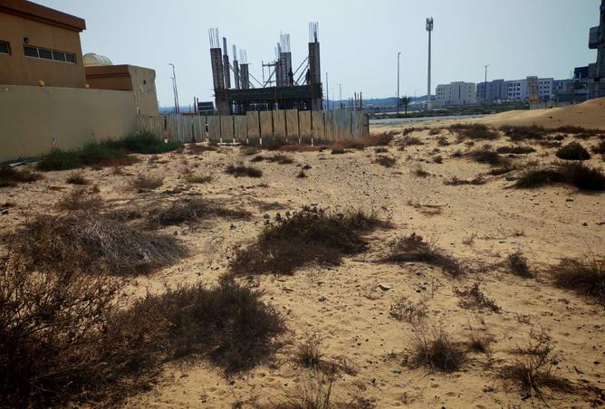 15548019 - صورة العقار 3