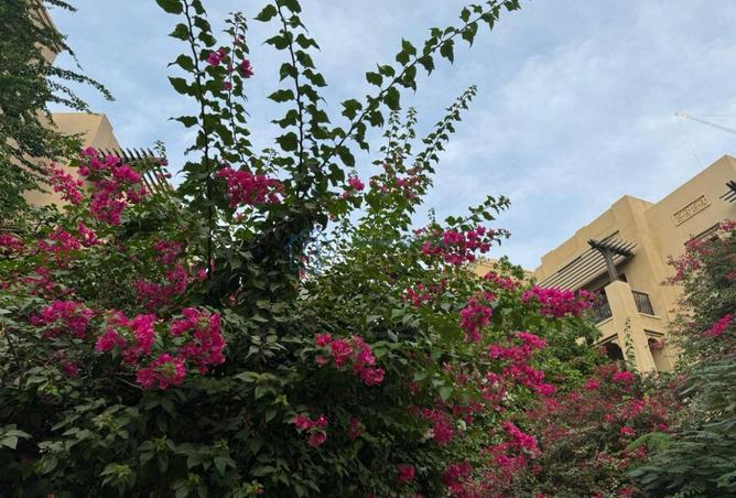 16105644 - Property Image 3