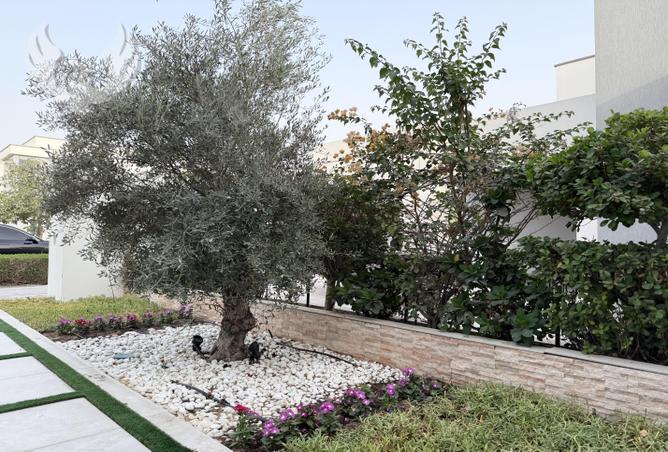 15587336 - صورة العقار 2