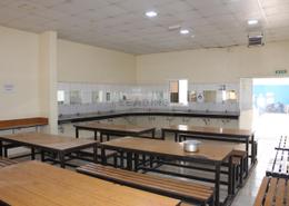 Fully Fitted & Occupied Labor camp | For sale