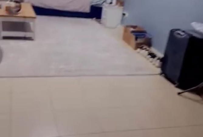 15883497 - صورة العقار 3