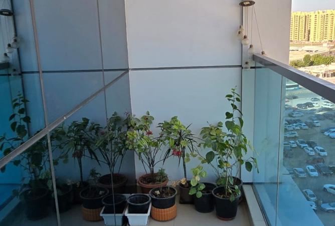 15977132 - صورة العقار 2