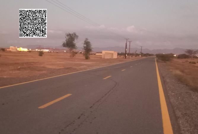 15578137 - Property Image 3