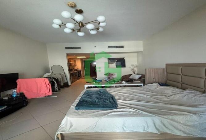 15141842 - Property Image 3