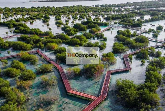 15562610 - صورة العقار 3