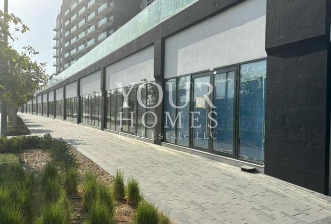 15558303 - Property Main Image