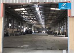 Warehouse - 3 bathrooms for rent in Industrial Park - RAK FTZ - Ras Al Khaimah