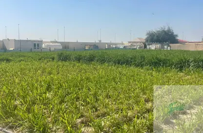 مزرعة - استوديو للبيع في العجبان - أبوظبي