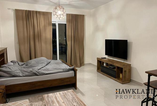 15666750 - Property Image 3