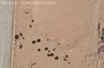 أرض - استوديو للبيع في الحليو 2 - الحليو - عجمان أرض - استوديو للبيع في الحليو 2 - الحليو - عجمان