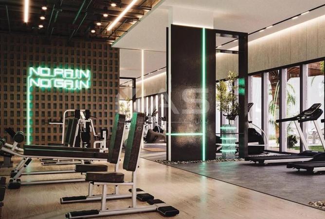 15884127 - Property Image 3