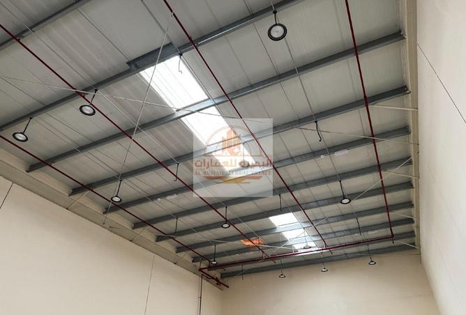 16090026 - صورة العقار 3