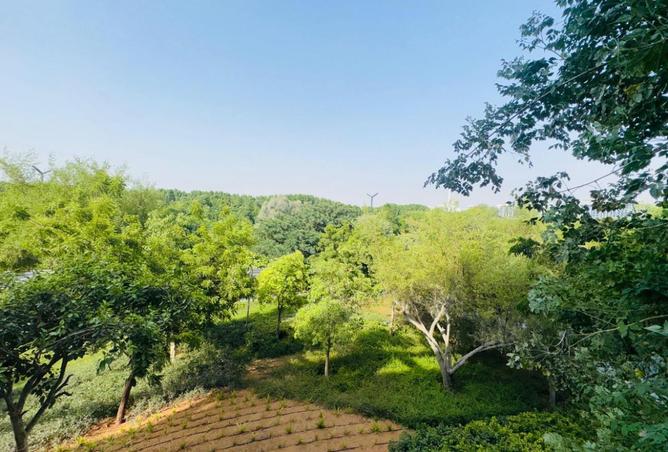 15708831 - Property Image 2