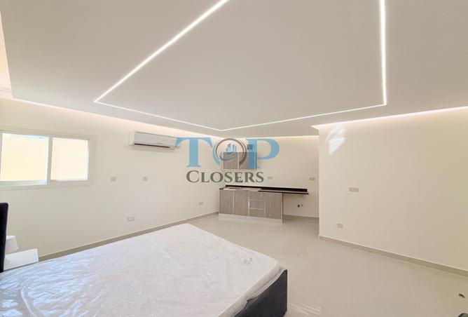 16098885 - Property Image 3