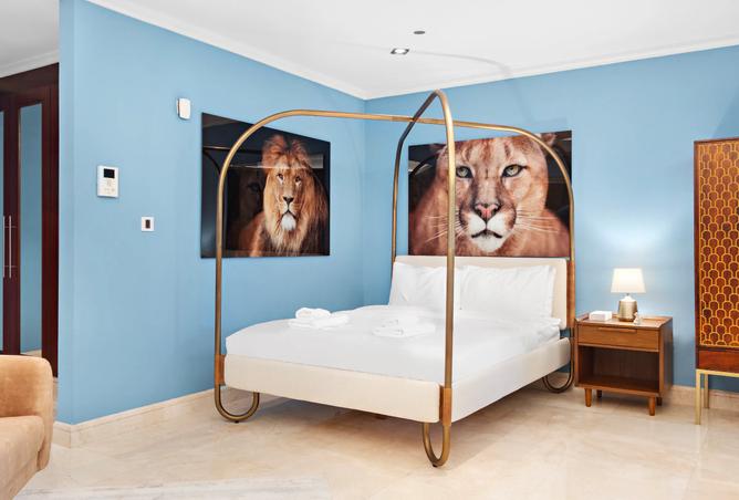 15928515 - Property Image 3