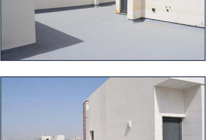 15389850 - Property Image 3