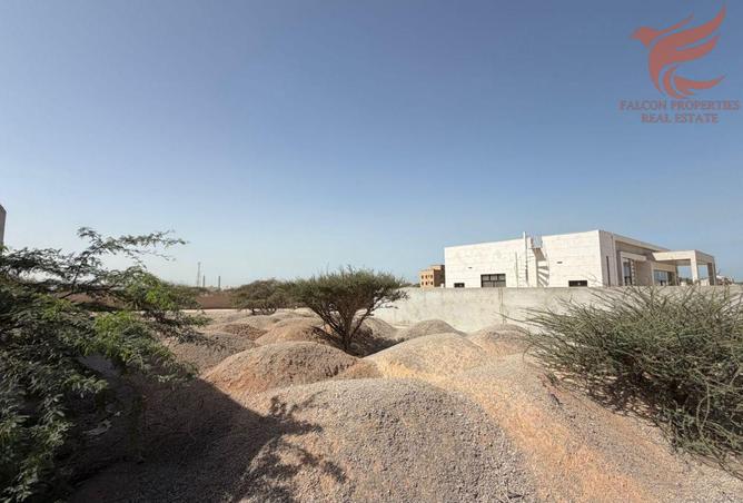 15582445 - Property Image 3