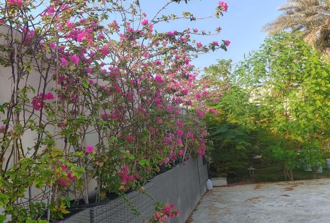 15441441 - Property Image 2