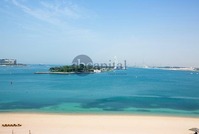 14767654 - Property Image 3