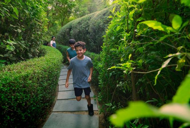 15879911 - Property Image 3