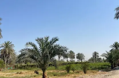مزرعة - استوديو للبيع في الرحبة - أبوظبي