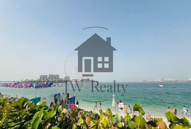 15607603 - Property Image 3