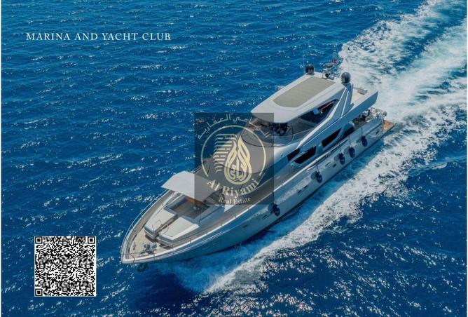 15635505 - Property Image 2