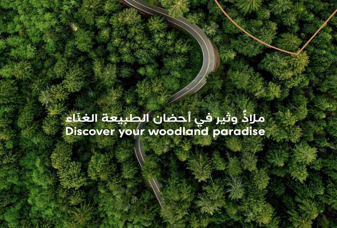 15252894 - صورة العقار 3
