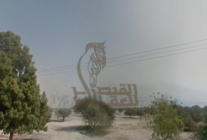 15279749 - Property Image 3