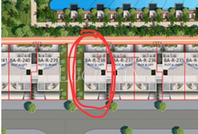 14915828 - Property Image 3