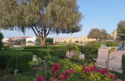 Apartment - 1 Bedroom - 2 Bathrooms for rent in Building 4 - Yasmin Village - Ras Al Khaimah