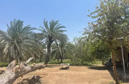 Farm - Studio for sale in Al Ajban - Abu Dhabi