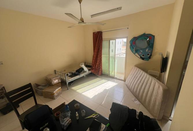 15956009 - Property Image 3