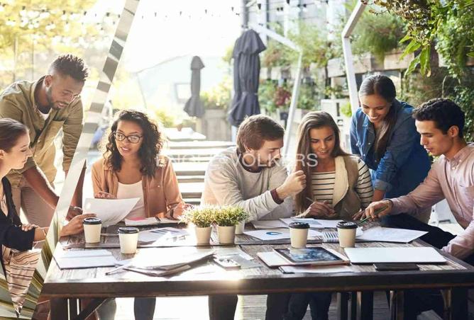 15641822 - Property Image 3