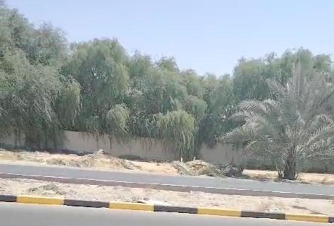 15256429 - صورة العقار 2