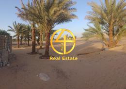 Farm for sale in Al Dhahrah - Al Ain