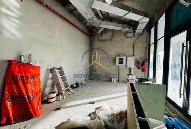 15592434 - Property Image 3