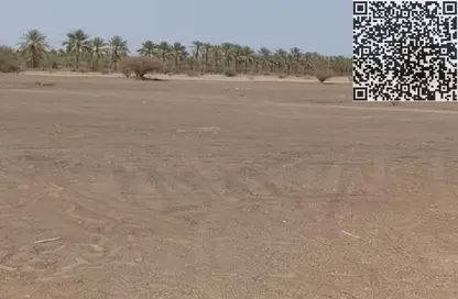 أرض - استوديو للبيع في المنامة - عجمان