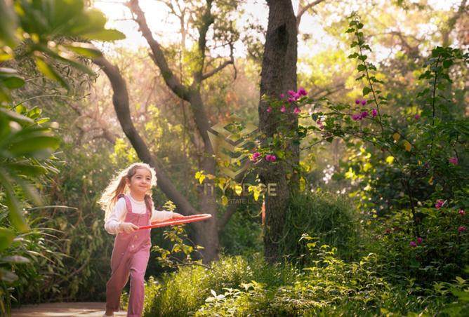 15666945 - صورة العقار 3