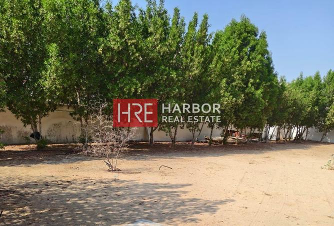 16045289 - صورة العقار 2