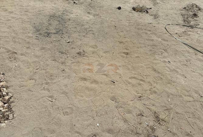 14056242 - صورة العقار 2