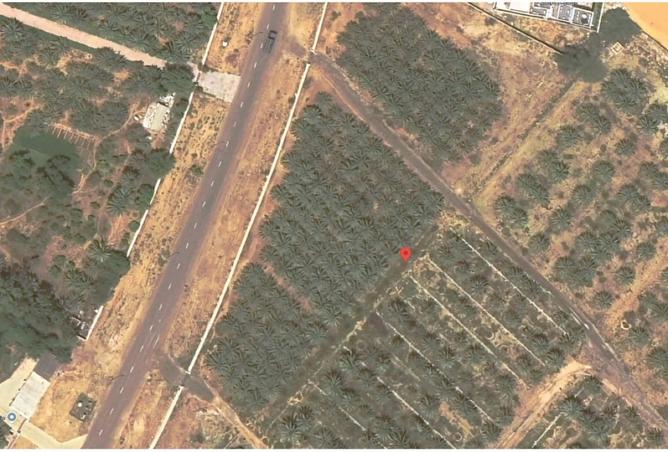 15389250 - الصورة الرئيسية للعقار