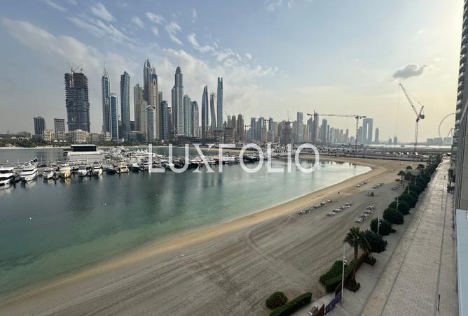 15619766 - Property Image 3