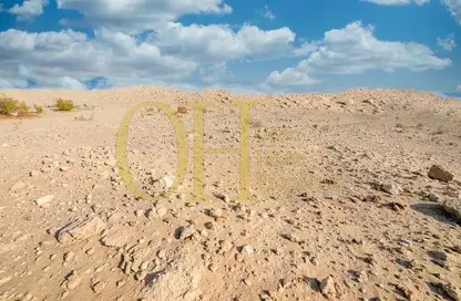 صورة لـ منظر للجبل أرض - استوديو للبيع في سعديات رزيرف - جزيرة السعديات - أبوظبي ، صورة رقم 1