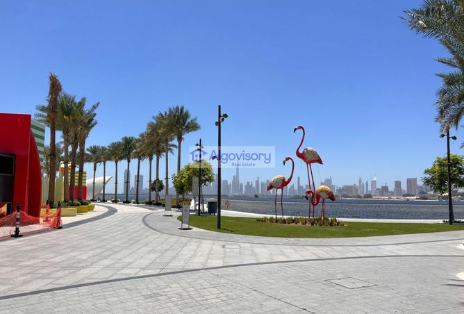 15846239 - صورة العقار 3